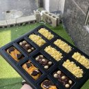 슈슈바이츠 이미지