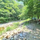 고수족구장 이미지