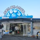 동해여행 주문진 어민 수산시장에 있는 신성호에서 복어 구입 후기