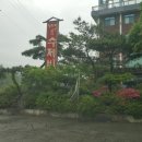 봉녀수제비 이미지