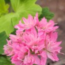 빛으로부터..(fr 이미지