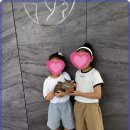 광주 강아지분양 고양이분양 어반펫 광주본점 이미지