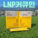LNP공법으로 만든 고흡수 건강식품 LNP커큐민 인큐텐