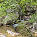 소백산 자락길 이미지