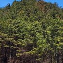 바다그리고길 이미지