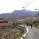 관동주유소 | 광양 쫓비산 산행 매화마을 탐방후기( 청솔산악회 )