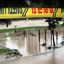 고수부지 이미지