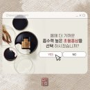 초월홍삼 이미지