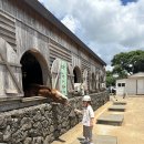 우정목장 | 아이랑 승마·먹이주기 체험까지! 제주 목장카페 밭디 후기