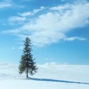 진흥카써비스 | [삿포로 여행 준비] 비행기, 숙소(에어비앤비, 료칸, 호텔), 일본 카드 추천, 식당, T로밍, 자란넷 렌터카