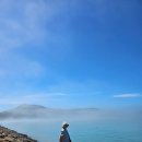 신기어꿈 이미지