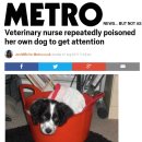 메트로동물병원 이미지