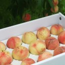 동기농장 이미지