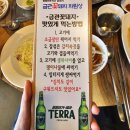 금관꽃돼지 이미지