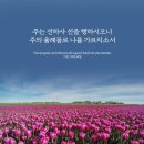 오늘의 '영어성경 사진'(172강) “율례(律例)”(시편 119편 68절) 이미지