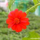 시골마당풍경
