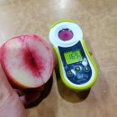 이백농장 이미지