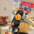 선흘별숲 | 제주도 우도 여행🛥️/제주 숙소 추천/제주 맛집 추천/제주 동부 여행 코스