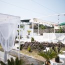 송하농장 이미지