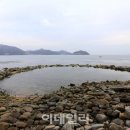 앵강 약초 공원 이미지