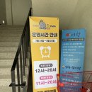 코코파크 | 경기도 광주 아이와 가볼 만한 곳 대형 키즈카페 코코파파 키즈파크 솔직 후기