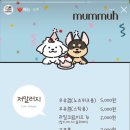 크림이네 수제간식 이미지