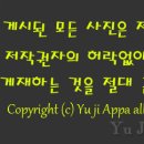 주암호 생태습지 이미지