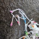 말랑말랑 그림책 마음여행 이미지