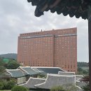 [한국여행] 서울 신라호텔 7월 그랜드코너 디럭스룸 1박후기