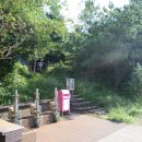 솔오름전망대 | 제주 서귀포시 동홍동 오름, 솔오름(미악산) 산책 후기