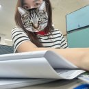 세무회계주영