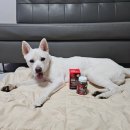 에스솔루션 이미지