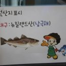 태평양볼테기 이미지