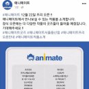 애니메이트 이미지