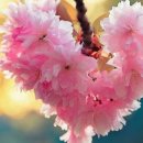 경호태권도 이미지