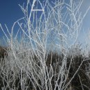 불암약수 이미지