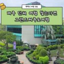 제주 리무진 28인승 대절 기사 포함으로 여유롭게