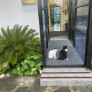 가조교 | 거제 카페 '엘도라도' 방문 후기