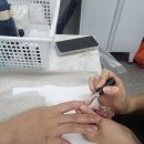 마석네일아트학원 자격증 취득도 쉽고 빠르게