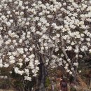 충혼로-2 이미지