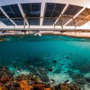 지혜2호 태양광발전소 | 10. 자연과 에너지가 만나는 곳, 수상 태양광의 &#39;공존&#39; 이야기