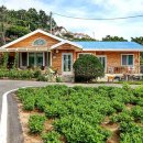 광복호민박 이미지