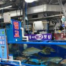 벌교초장집 | 수협강서수산물도매시장 대방어 내돈내산 쌍둥이벌교횟집 찐후기