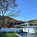 벌곡 멍발리 이미지