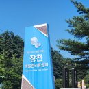 장천마을캠핑장 | [아이랑 계곡 추천] 얕은 물놀이 명당! 소금강장천마을캠핑장 당일치기 후기