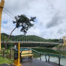테마21