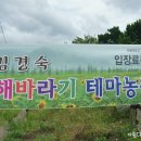 꽃회사농장 이미지