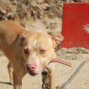 안양농장 이미지