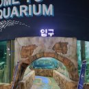 삼산체육관역 1번 출구 | 아이가 정말 좋아했던 부천 아쿠아리움 플레이아쿠아리움 부천 후기