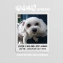 과원동로 네이버블로그